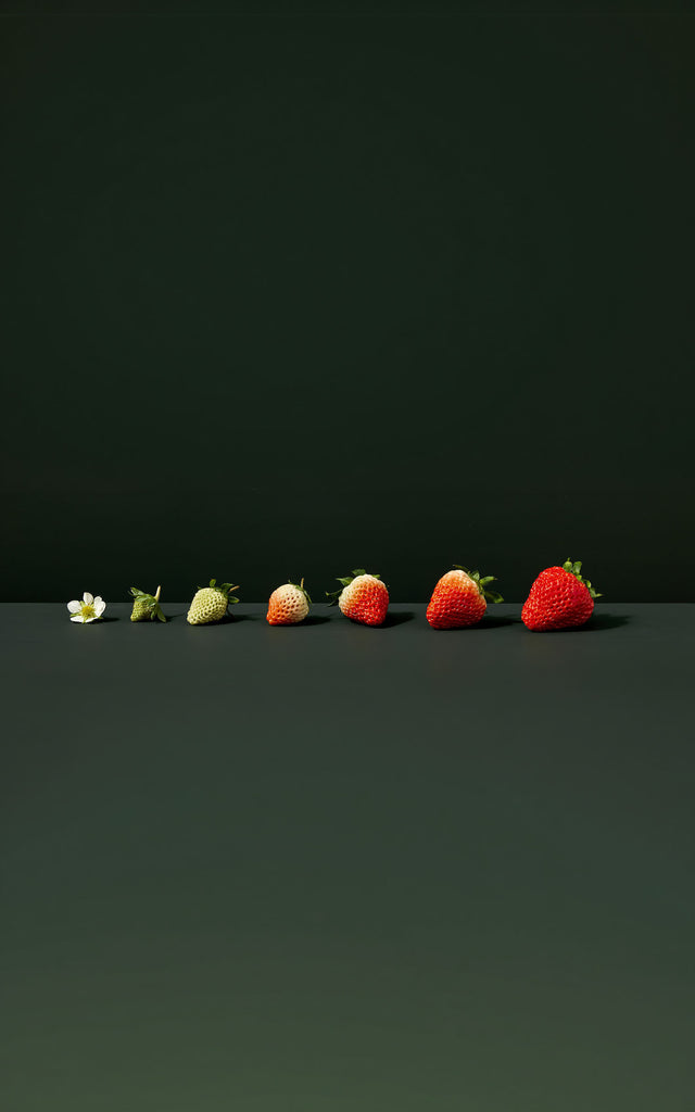 Our Fruit at it’s peak expression